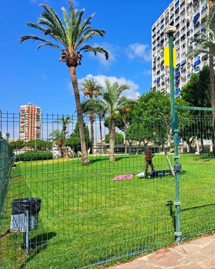 Apartament Comfortable Studio With Sea View Benidorm Zewnętrze zdjęcie